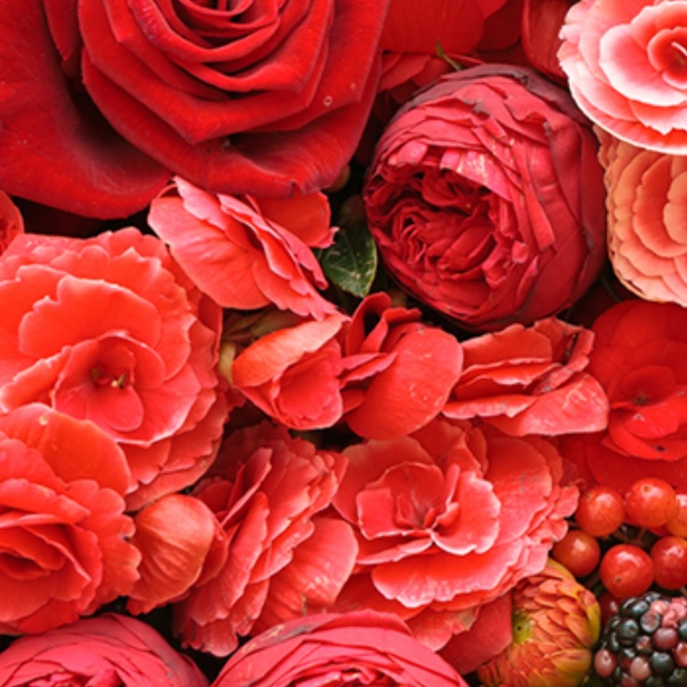 Meet your Posher, Stacey